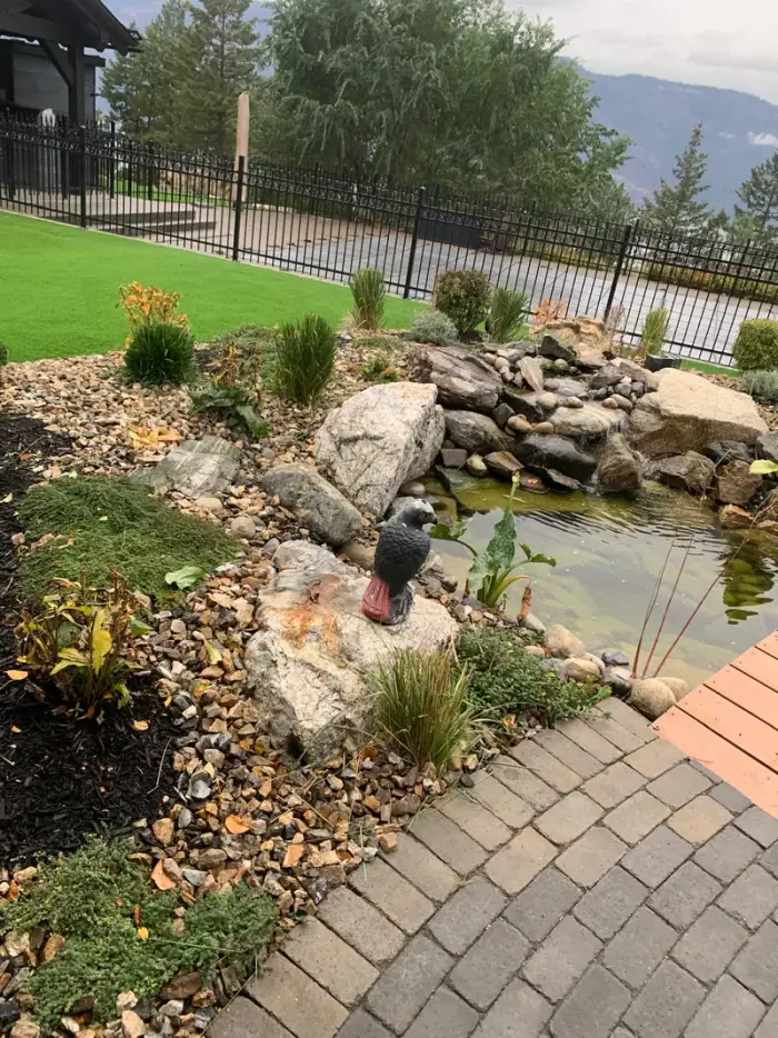Natural boulder-edged water feature pond with a decorative bird statue, planted beside a vibrant artificial turf lawn with a black iron fence and mountain backdrop.