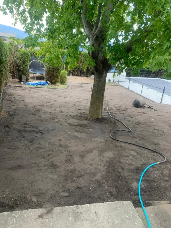 Large irregular flagstone patio leading to a covered timber pergola with outdoor dining furniture, gravel side beds, and a rock-mulch planting area at a residential property.