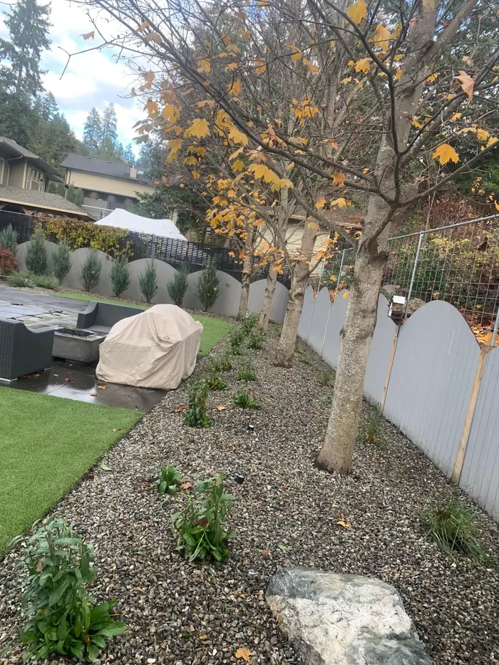 Backyard gravel planting bed with deciduous trees, young shrubs freshly installed, and artificial turf visible beyond the covered outdoor furniture in autumn.
