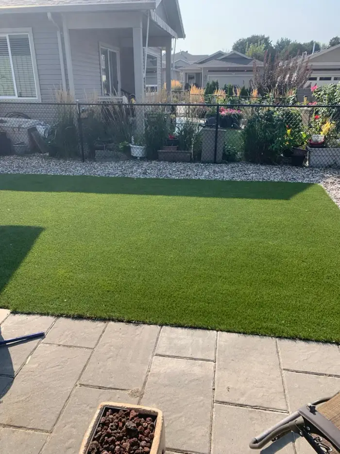 Neat rectangular artificial turf lawn beside vibrant flower and ornamental grass garden beds with river rock edging, paver patio, and chain-link fence at a sunny Okanagan property.