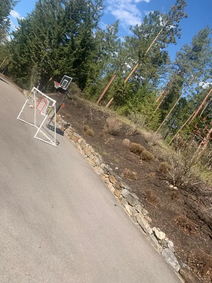 Natural stone retaining wall bordering a freshly mulched planting bed with young shrubs along a residential driveway, cedar trees in the background.