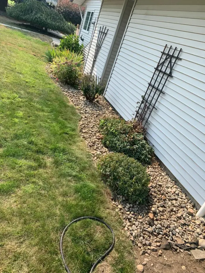 River rock mulch bed installed along a house foundation with established rose bushes and shrubs, drip irrigation hose visible alongside a maintained lawn.