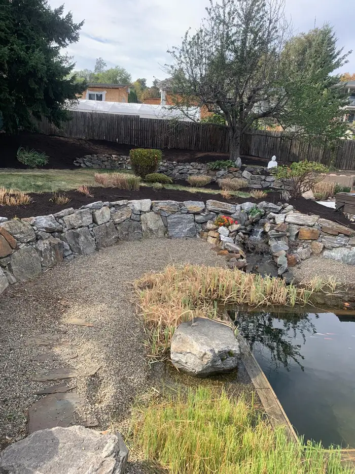 Curved natural stone retaining wall around a backyard koi pond with a concrete garden ornament, gravel ground cover, and established shrubs in a residential yard.