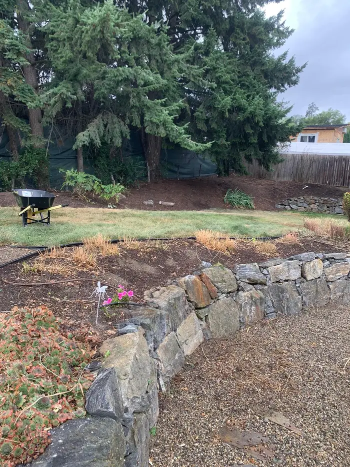 Freshly planted mixed perennial bed including pink impatiens and ground cover in dark bark mulch alongside a natural stone retaining wall, with fir trees and wheelbarrow behind.