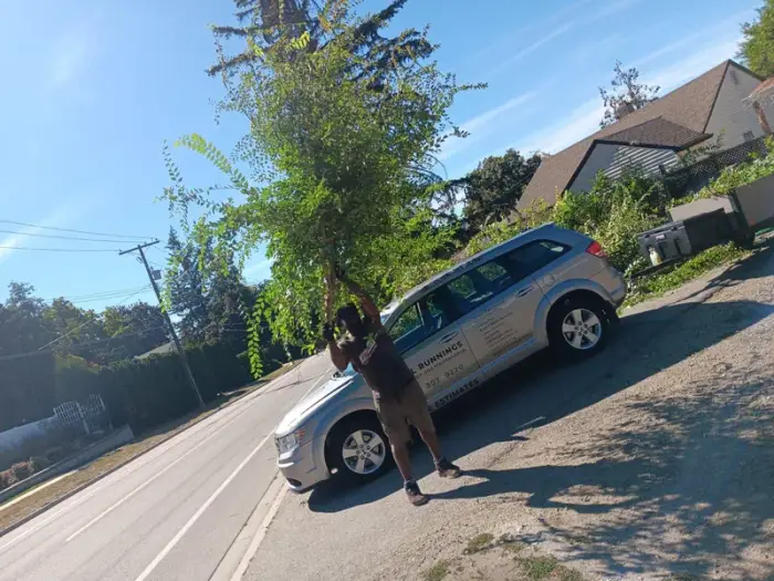 Cool Runnings branded van towing a trailer loaded with hauled-away garden vegetation down a residential Okanagan street after a cleanup job.