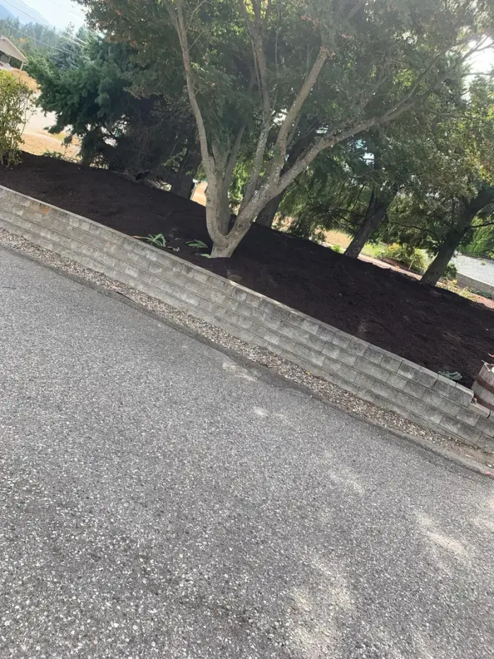 Concrete block retaining wall with freshly spread dark bark mulch bed on top, a mature shade tree, viewed from a gravel driveway at a residential property.