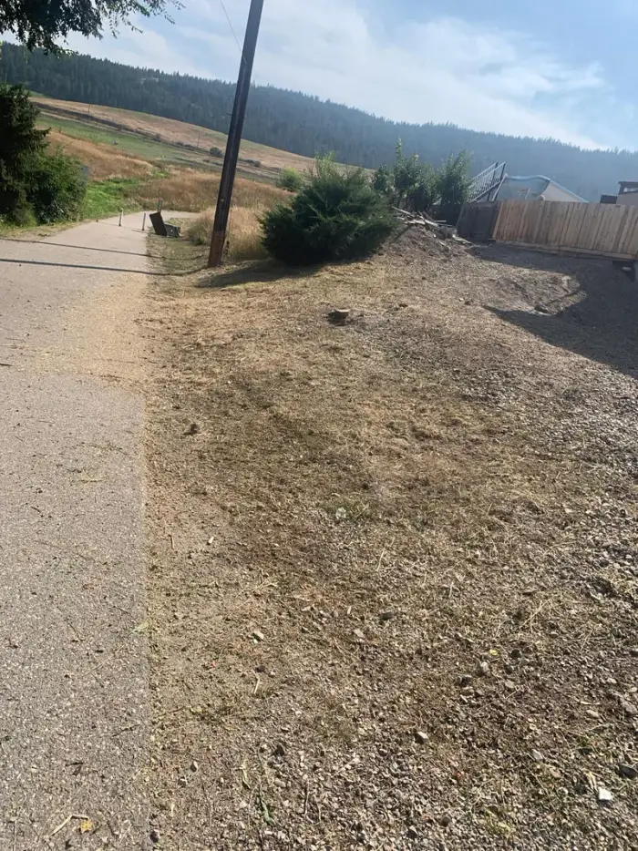 Cool Runnings van with trailer overflowing with freshly cut green cedar hedge clippings parked on a residential street after a large trimming job.